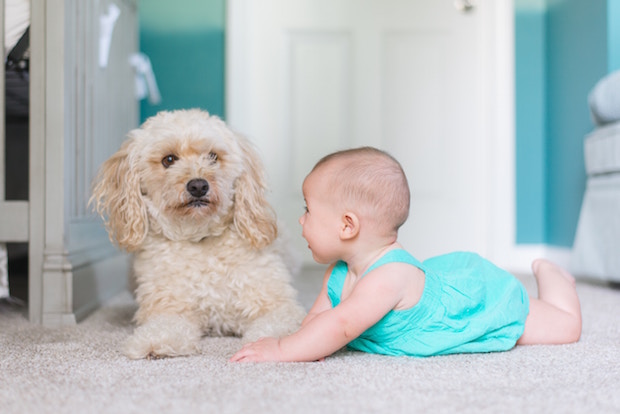 baby and dog