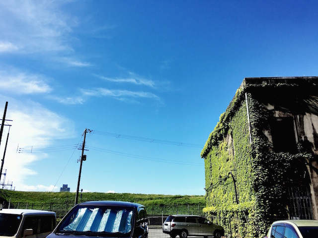 淀川の堤